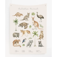 Australian Animals Canvas Wall Hang - by Timber Tinkers